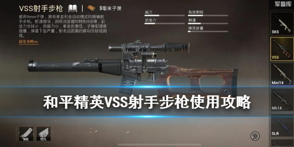 和平精英VSS表现如何 VSS优缺点介绍