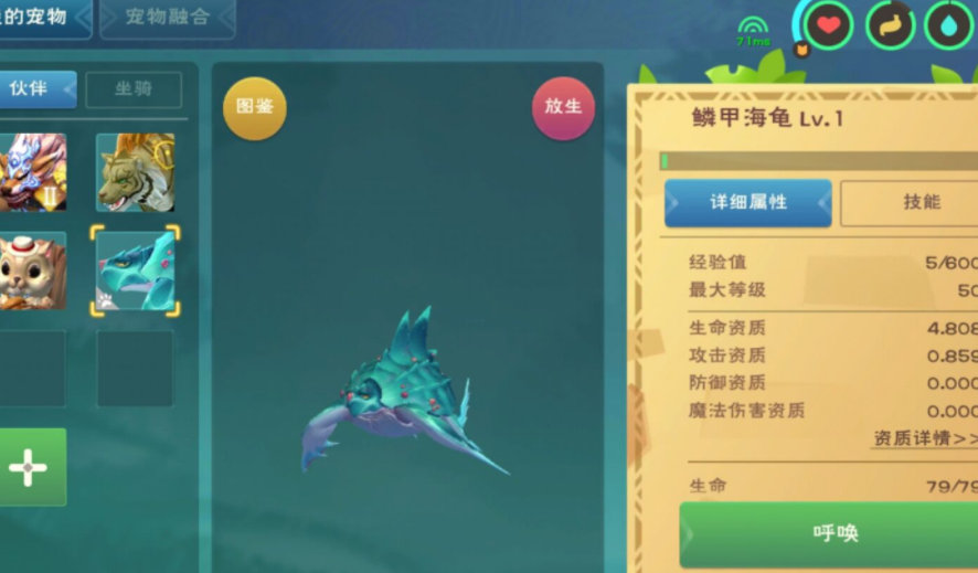 创造与魔法海龟吃什么