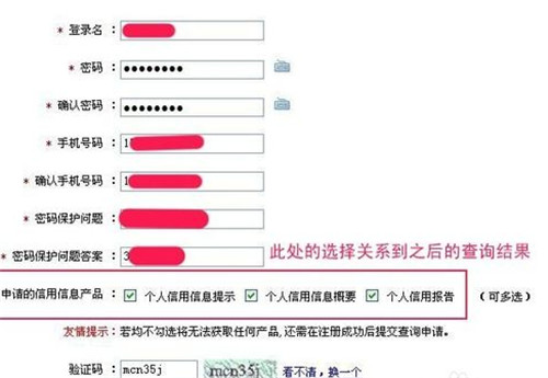 个人信用查询系统，网上怎么查个人信用