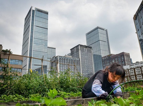 顶楼住户有优先使用权