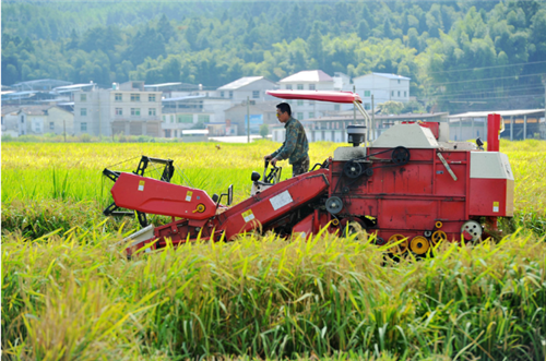 2019土地流转补偿标准，农村土地流转价格