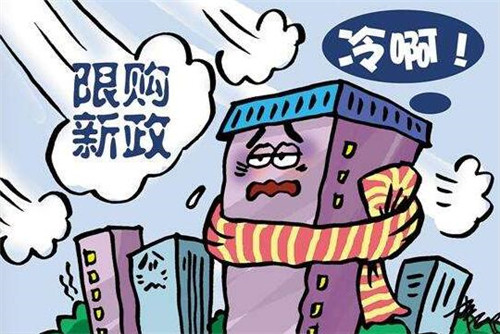 北京317新政内容是什么