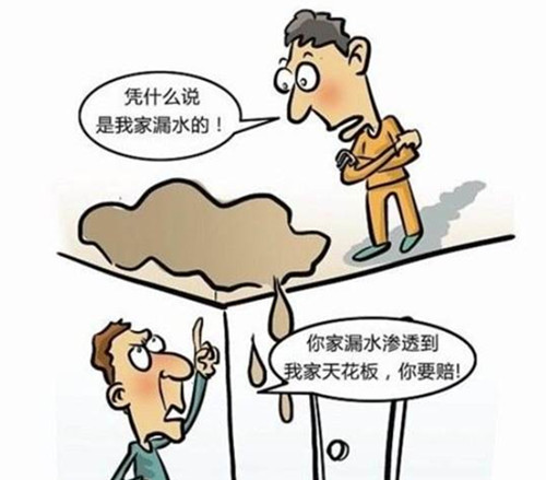 租客漏水房东有责任吗