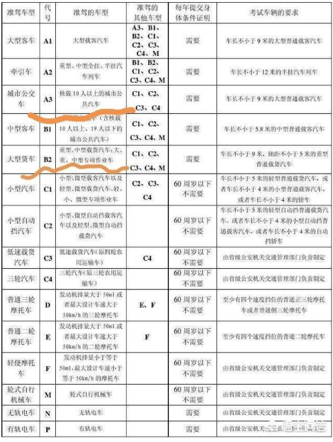 b1驾驶证能开什么车?b1驾驶证能开多少座的客车