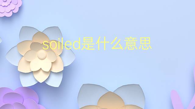 soiled是什么意思 soiled的翻译、读音、例句、中文解释