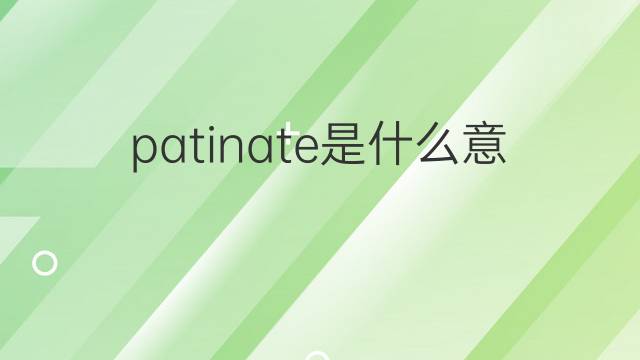 patinate是什么意思 patinate的翻译、读音、例句、中文解释