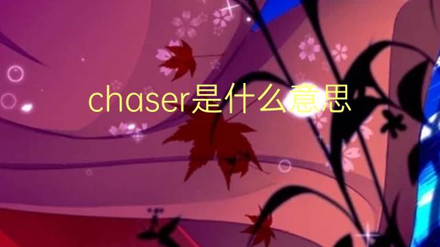 chaser是什么意思 chaser的翻译、读音、例句、中文解释