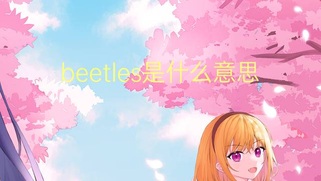 beetles是什么意思 beetles的翻译、读音、例句、中文解释