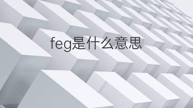 feg是什么意思 feg的翻译、读音、例句、中文解释