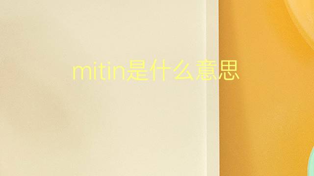 mitin是什么意思 mitin的翻译、读音、例句、中文解释