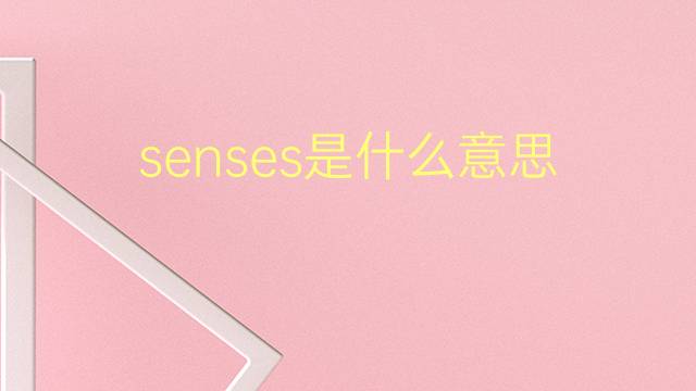 senses是什么意思 senses的翻译、读音、例句、中文解释