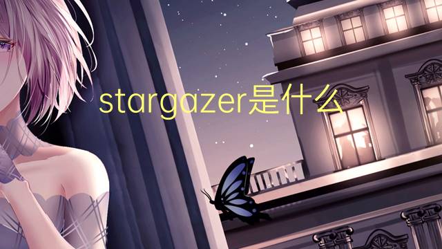 stargazer是什么意思 stargazer的翻译、读音、例句、中文解释