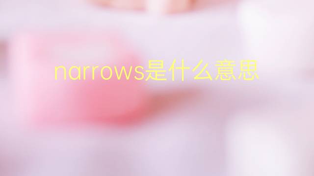 narrows是什么意思 narrows的翻译、读音、例句、中文解释