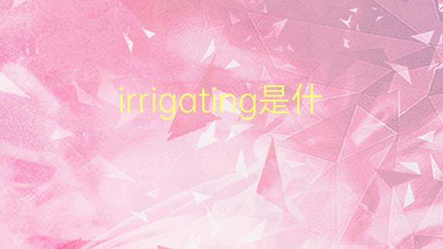 irrigating是什么意思 irrigating的翻译、读音、例句、中文解释