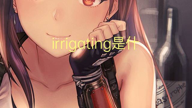 irrigating是什么意思 irrigating的翻译、读音、例句、中文解释