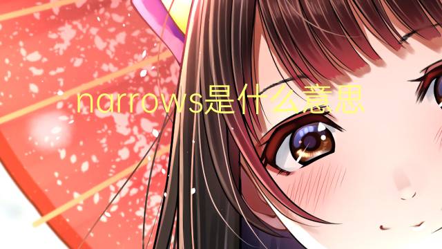 narrows是什么意思 narrows的翻译、读音、例句、中文解释