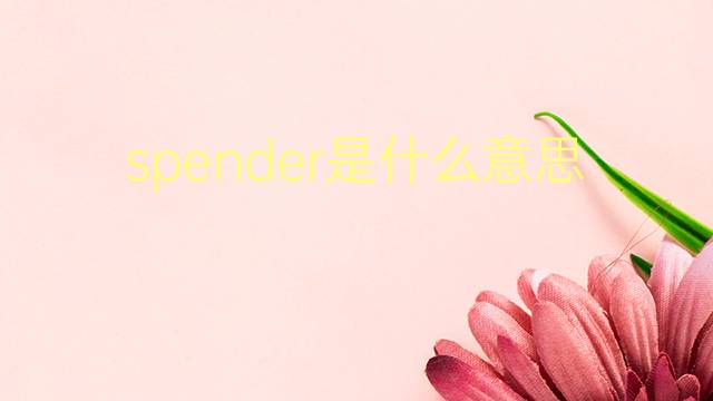 spender是什么意思 spender的翻译、读音、例句、中文解释