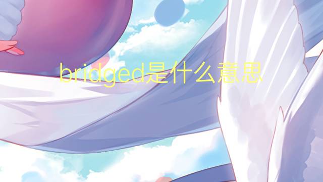 bridged是什么意思 bridged的翻译、读音、例句、中文解释