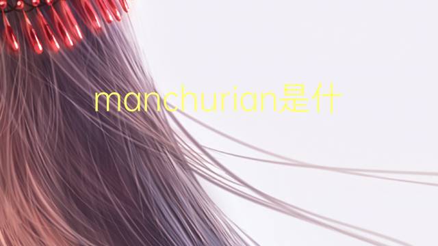 manchurian是什么意思 manchurian的翻译、读音、例句、中文解释