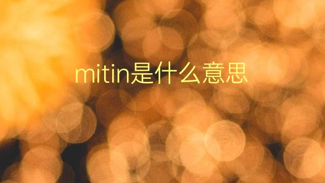 mitin是什么意思 mitin的翻译、读音、例句、中文解释