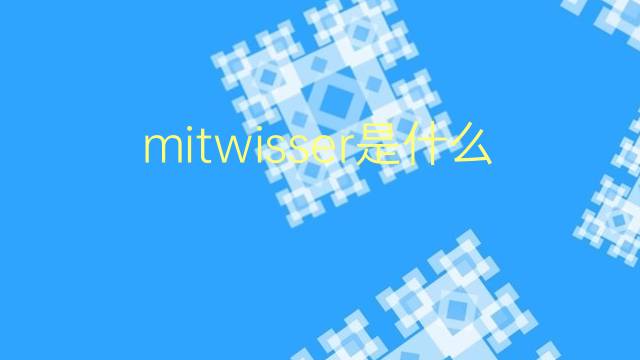 mitwisser是什么意思 mitwisser的翻译、读音、例句、中文解释