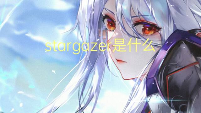 stargazer是什么意思 stargazer的翻译、读音、例句、中文解释