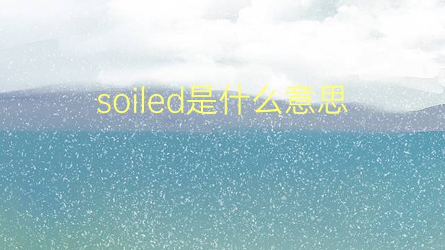 soiled是什么意思 soiled的翻译、读音、例句、中文解释