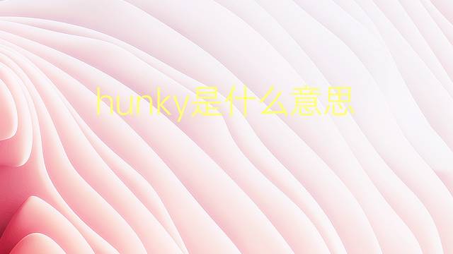 hunky是什么意思 hunky的翻译、读音、例句、中文解释