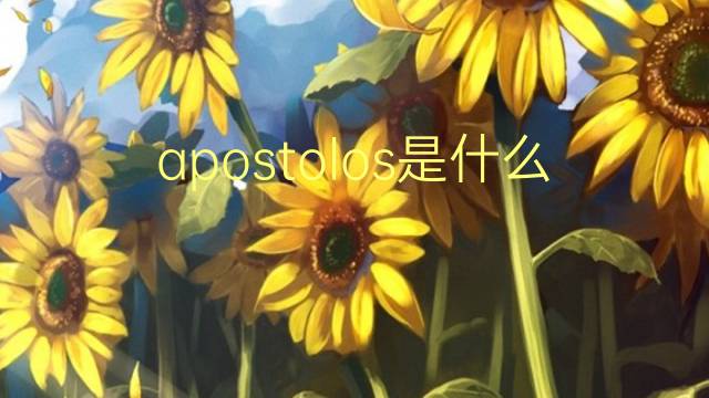 apostolos是什么意思 apostolos的翻译、读音、例句、中文解释