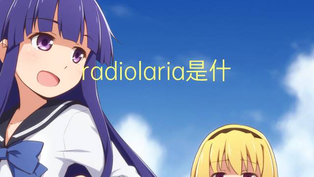 radiolaria是什么意思 radiolaria的翻译、读音、例句、中文解释