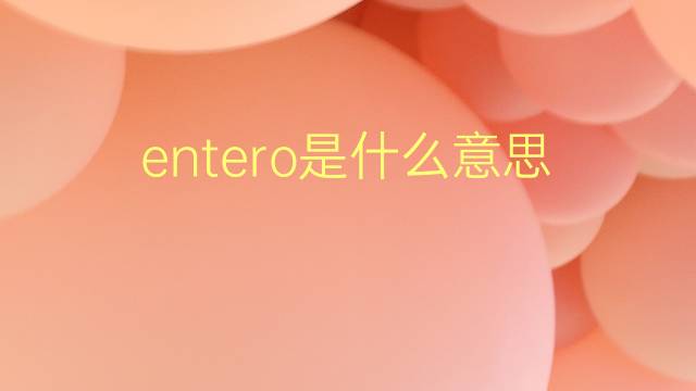 entero是什么意思 entero的翻译、读音、例句、中文解释