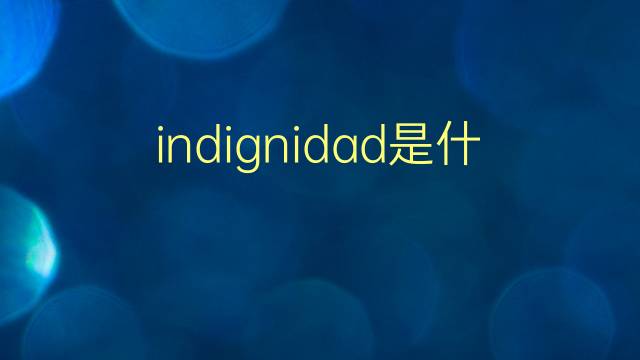 indignidad是什么意思 indignidad的翻译、读音、例句、中文解释