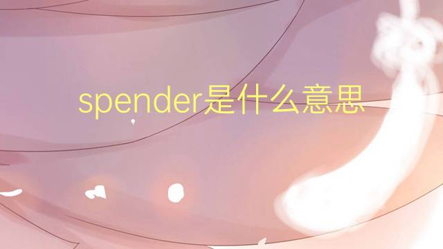 spender是什么意思 spender的翻译、读音、例句、中文解释