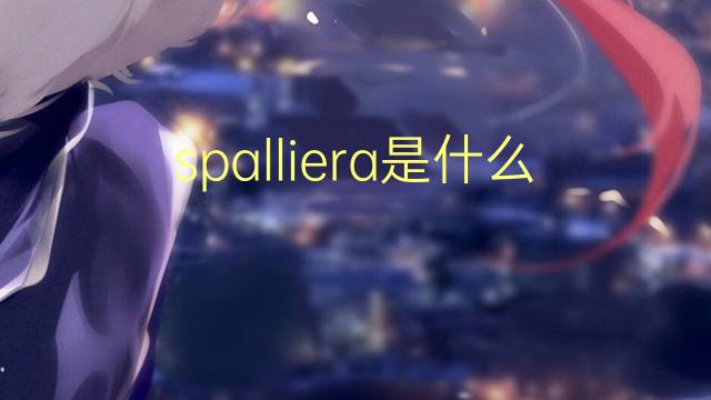 spalliera是什么意思 spalliera的翻译、读音、例句、中文解释