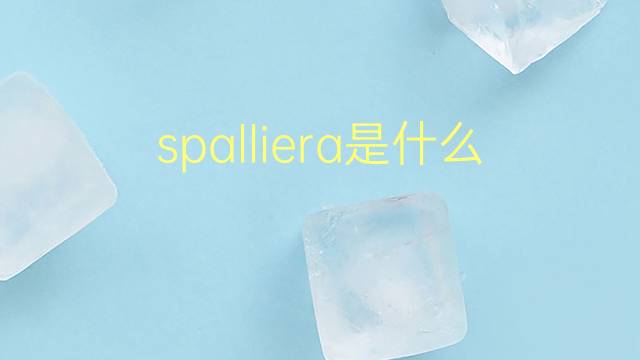 spalliera是什么意思 spalliera的翻译、读音、例句、中文解释