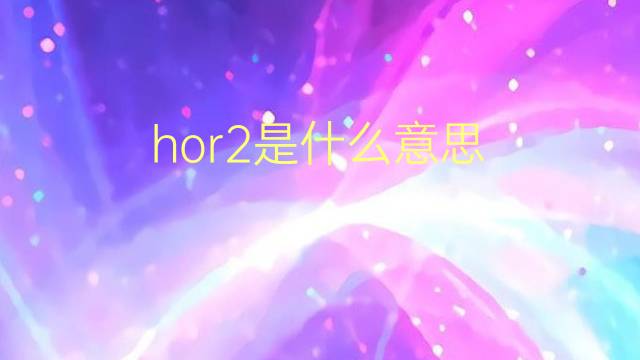 hor2是什么意思 hor2的翻译、读音、例句、中文解释