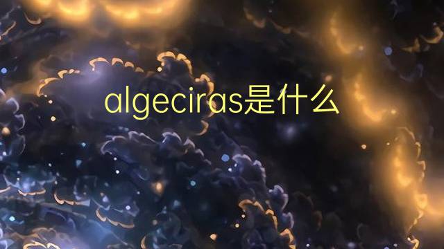 algeciras是什么意思 algeciras的翻译、读音、例句、中文解释