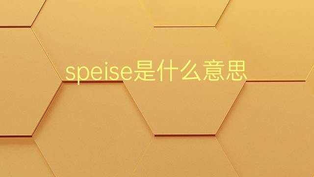 speise是什么意思 speise的翻译、读音、例句、中文解释