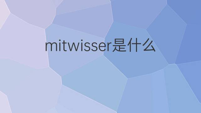 mitwisser是什么意思 mitwisser的翻译、读音、例句、中文解释