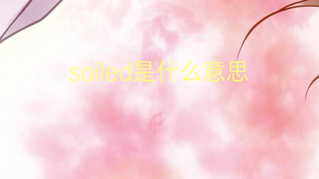 soiled是什么意思 soiled的翻译、读音、例句、中文解释