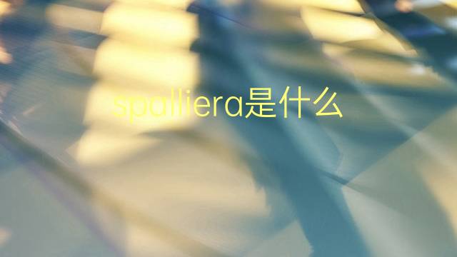 spalliera是什么意思 spalliera的翻译、读音、例句、中文解释