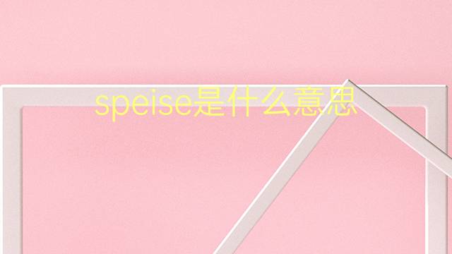 speise是什么意思 speise的翻译、读音、例句、中文解释