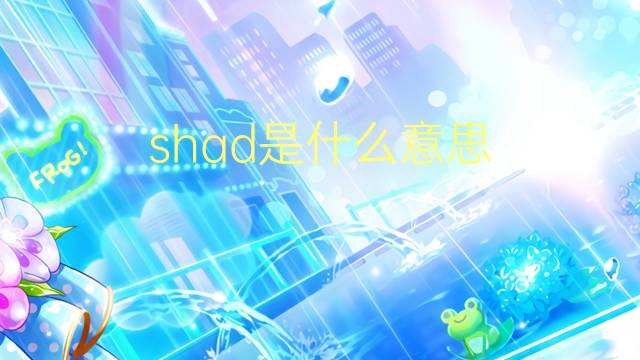 shad是什么意思 shad的翻译、读音、例句、中文解释