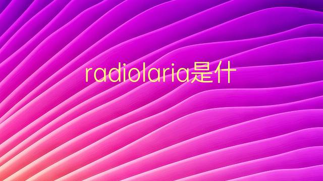 radiolaria是什么意思 radiolaria的翻译、读音、例句、中文解释