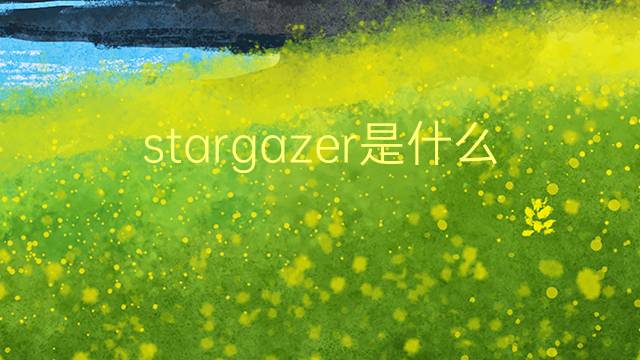 stargazer是什么意思 stargazer的翻译、读音、例句、中文解释