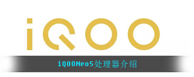 iQOONeo5处理器_iQOONeo5处理器介绍