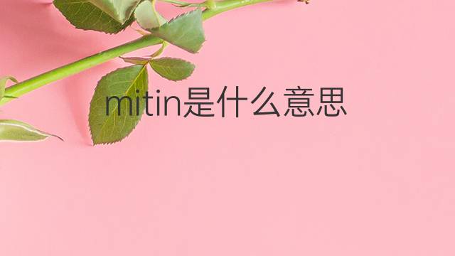 mitin是什么意思 mitin的翻译、读音、例句、中文解释