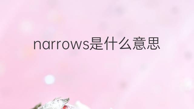 narrows是什么意思 narrows的翻译、读音、例句、中文解释