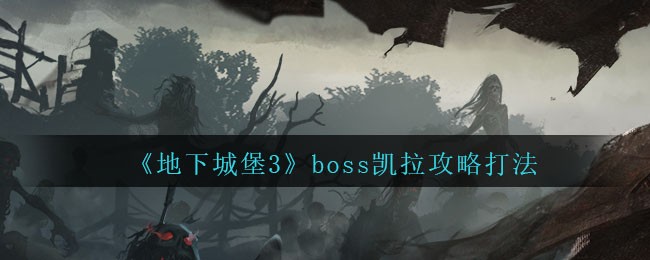 地下城堡3魂之诗凯拉怎么打_boss凯拉攻略打法