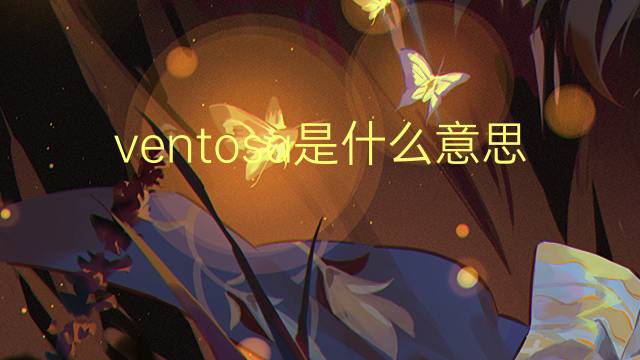 ventosa是什么意思 ventosa的翻译、读音、例句、中文解释